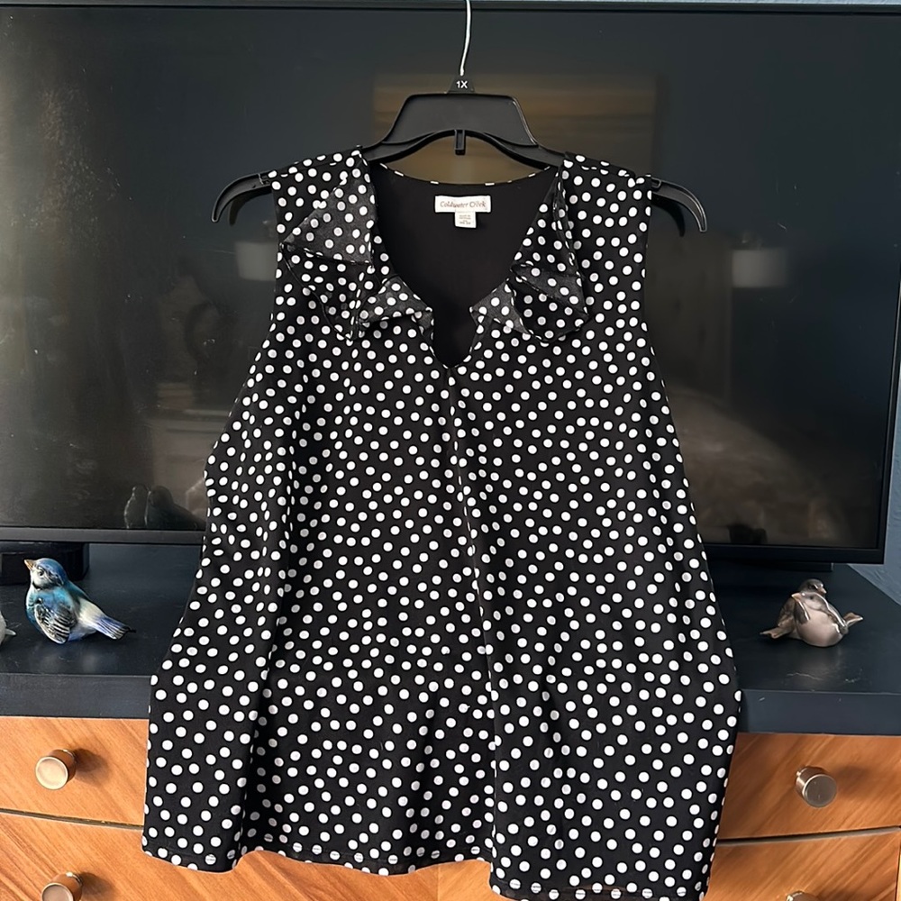 Coldwater Creek Polka Dot Sleeveless Lined